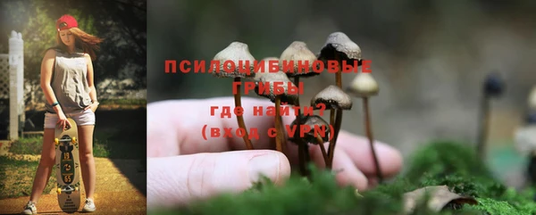 Альфа ПВП Аркадак