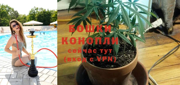 Альфа ПВП Аркадак